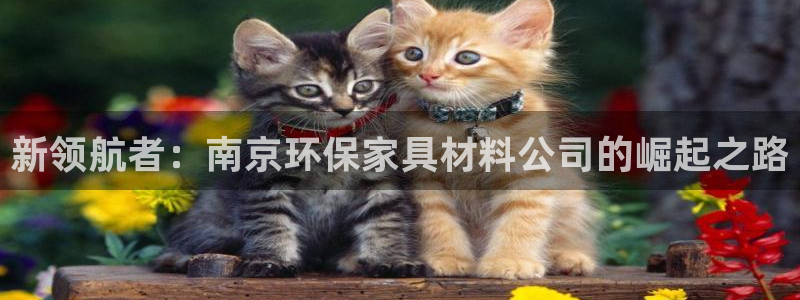 沐鸣2官网客服：新领航者：南京环保家具材料公司的崛起之路