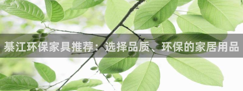 沐鸣2登陆网站：綦江环保家具推荐：选择品质、环保的家居用品