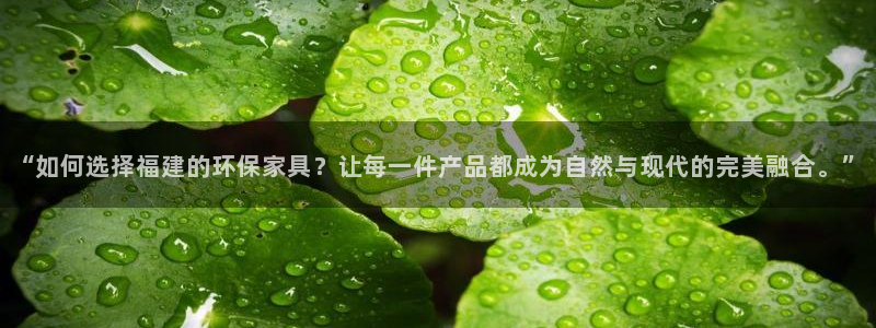 沐鸣2登陆网站：“如何选择福建的环保家具？让每一件产品都成为
