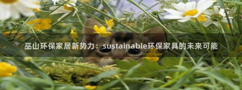 沐鸣2平台首页：巫山环保家居新势力：sustainable环