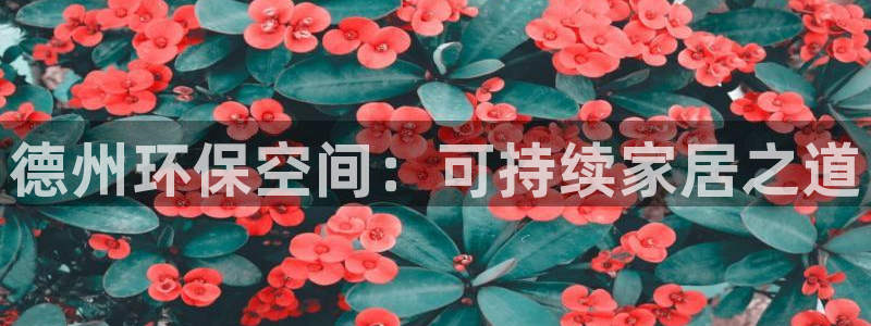 沐鸣2官网主管：德州环保空间：可持续家居之道