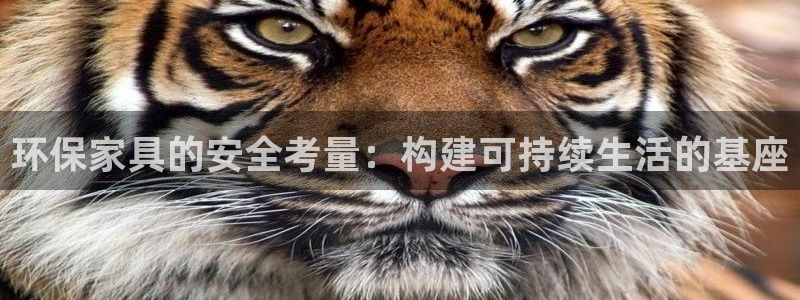 沐鸣2官网网站中心：环保家具的安全考量：构建可持续生活的基座