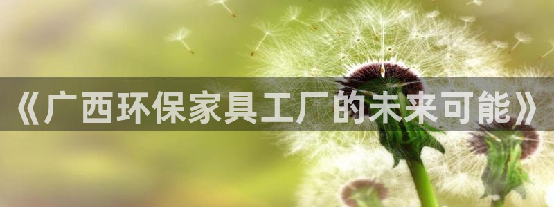 沐鸣2平台下载：《广西环保家具工厂的未来可能》
