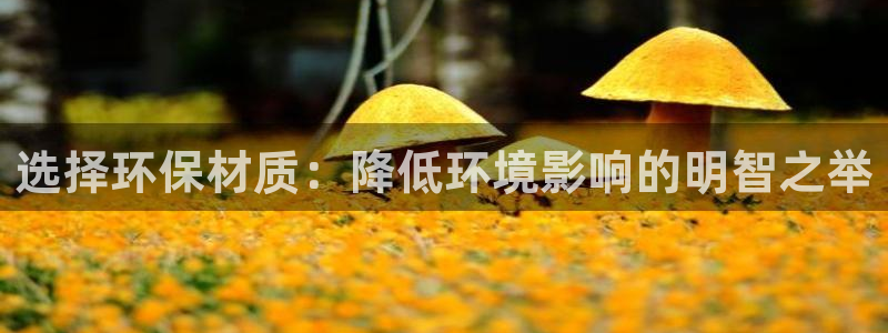 沐鸣2平台主管：选择环保材质：降低环境影响的明智之举