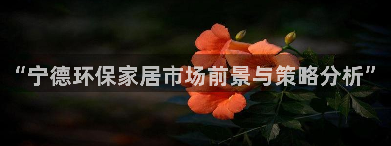 沐鸣2官网网站中心