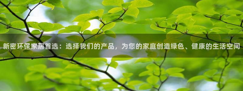 沐鸣2平台待遇：新密环保家居首选：选择我们的产品，为您的家庭