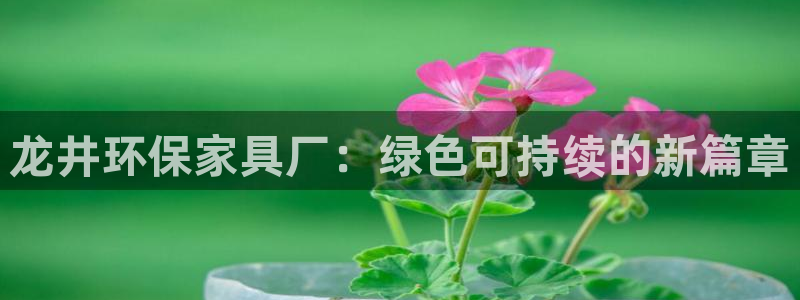 沐鸣2平台客服：龙井环保家具厂：绿色可持续的新篇章