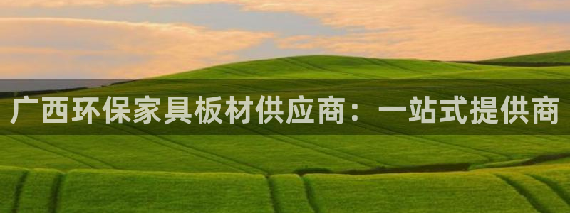 沐鸣2平台服务中心：广西环保家具板材供应商：一站式提供商
