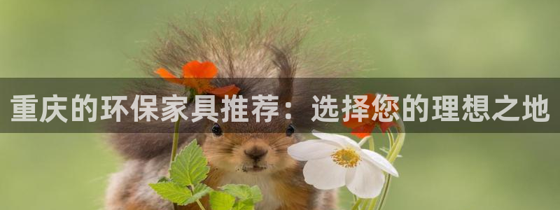 沐鸣2平台代理怎么赚钱