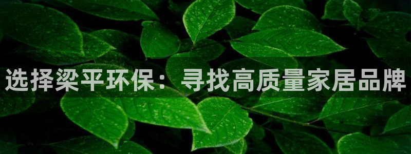 沐鸣2平台招商的流程