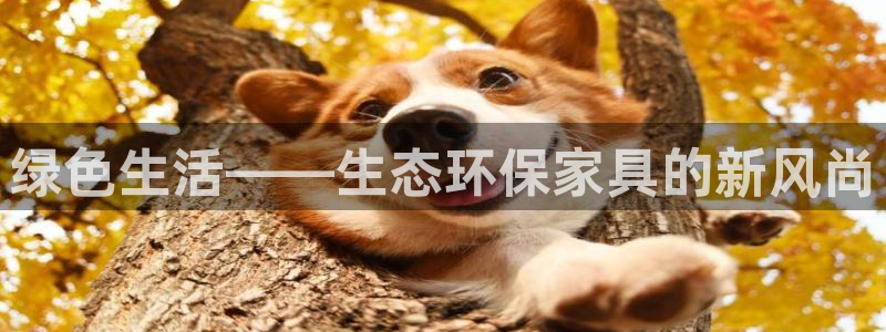 沐鸣2平台正规么：绿色生活——生态环保家具的新风尚