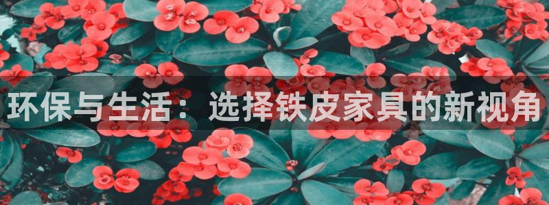 沐鸣2客户端登陆：环保与生活：选择铁皮家具的新视角