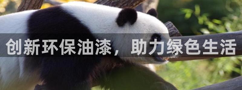 沐鸣2平台手机app：创新环保油漆，助力绿色生活