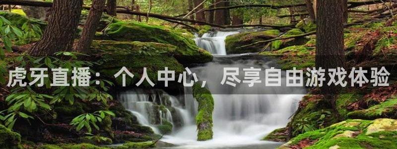 咪咕视频直播：虎牙直播：个人中心，尽享自由游戏体验