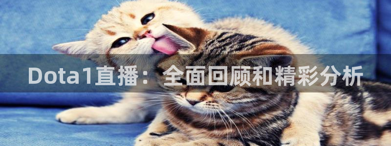 咪咕体育视频直播官网：Dota1直播：全面回顾和精彩分析