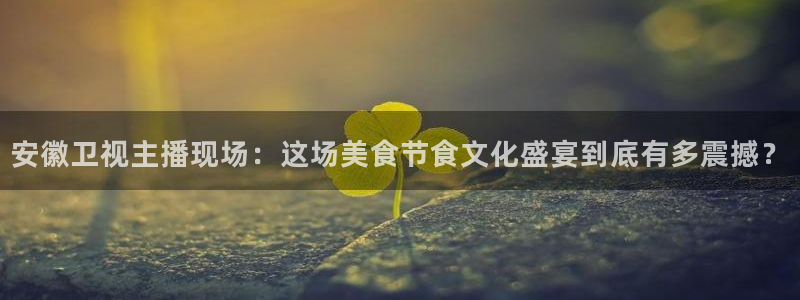 咪咕足球直播：安徽卫视主播现场：这场美食节食文化盛宴到底有多震撼？