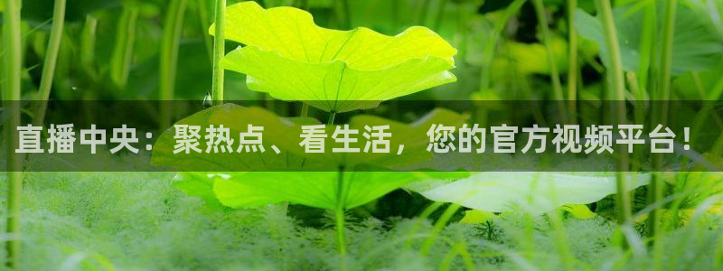 咪咕视频体育直播nba