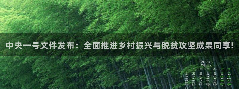 咪咕视频体育免费篮球现场直播：中央一号文件发布：全面推进乡村振兴与脱贫攻坚成果同享!
